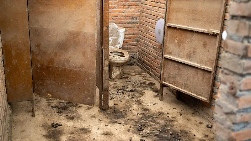 criadero clandestino